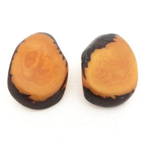 Orecchini in tagua